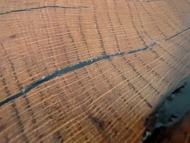 Close view of wood grain with a dark crack